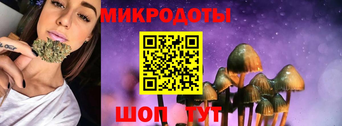 Орёл  Псилоцибиновые грибы Psilocybe  Вход с VPN 
