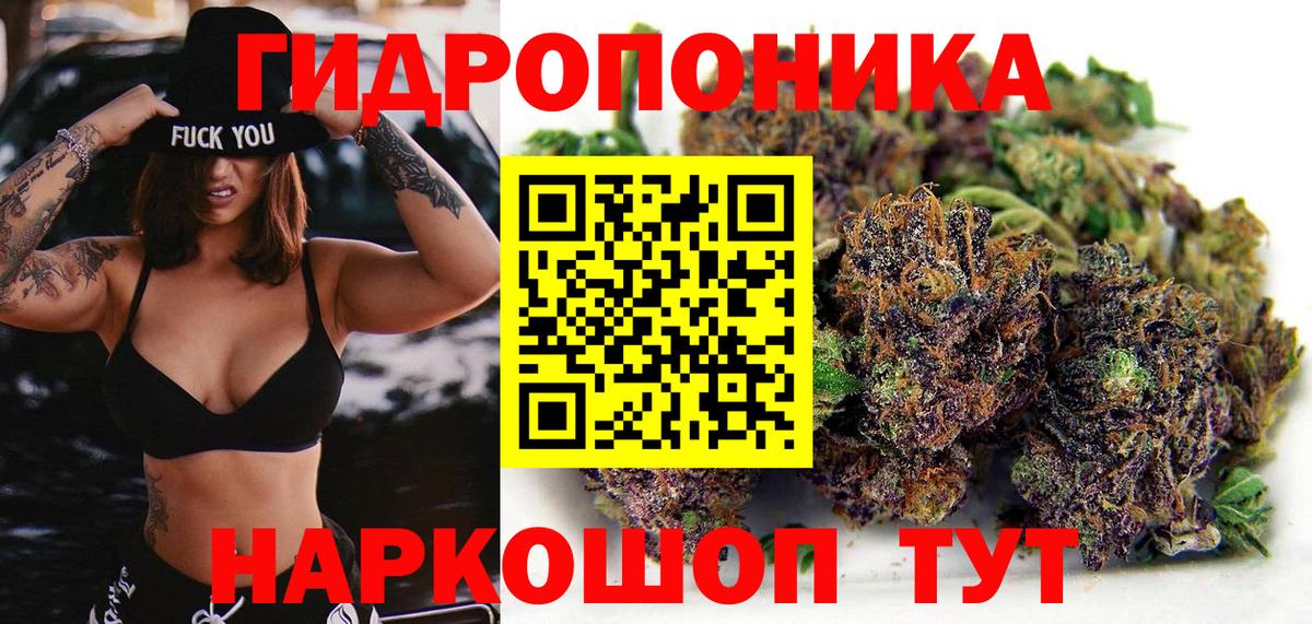 Бошки Шишки гибрид Орёл